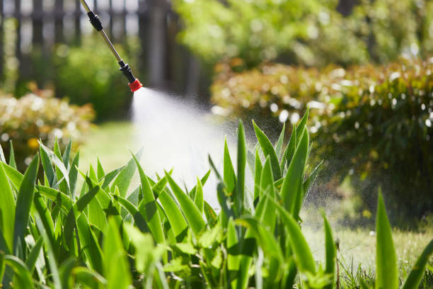 24/7 Emergency Fumigation Services experts in Konterra, MD