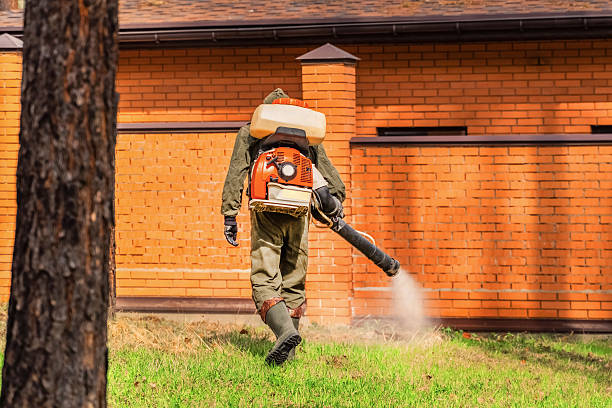 Trusted Rodent Control service in Konterra, MD - Nex Pest Control